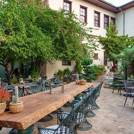 Tuvana