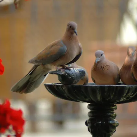 Hotel Tuvana